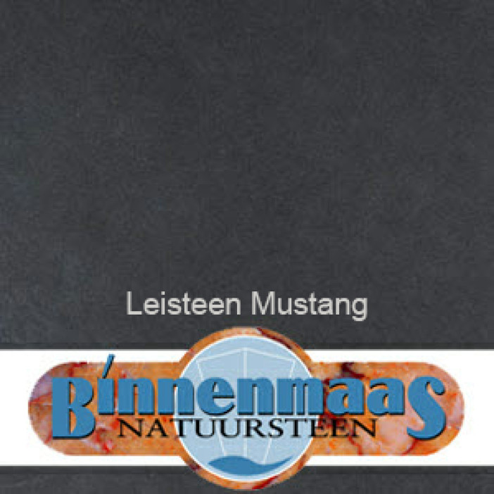Leisteen Mustang